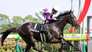 【中京６Ｒ・木曽川特別】伯父は日本ダービー馬マカヒキ　サヴォアフェールが２馬身半差で完勝