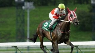 マカヒキが今年の新種牡馬で重賞一番乗り　芝マイル戦の盛岡・若鮎賞でセイカールトンがＶ
