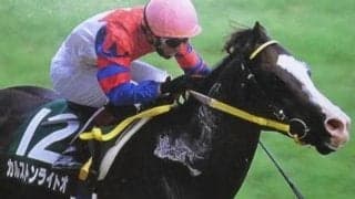 新潟千直の勝ち時計ランキングTOP5 日本一の快速スプリンターは？