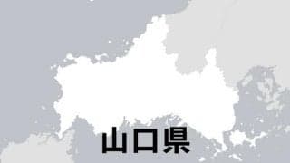 柳井が6連覇、西中国大会へ　軟式高校野球山口県予選