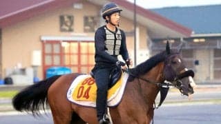 【アイビスＳＤ・イシゴーの特注馬】千直３勝エコロレジーナの舞台適性の高さは揺るがない　６歳牝馬がチャンス十分