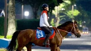 【アイビスＳＤ・ヤマタケの特注馬】アメリカンステージの直千適性は高い！　初の国内重賞でスピード見せつける