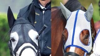 日本調教馬悲願の初制覇へ　メイショウタバルとアドマイヤテラが出走予定　凱旋門賞のＪＲＡ海外馬券発売が決定