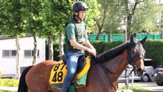 【クイーンＳ】６歳牝馬のココナッツブラウンは札幌の滞在効果大　陣営「こっちではずっとイレ込む面もない」