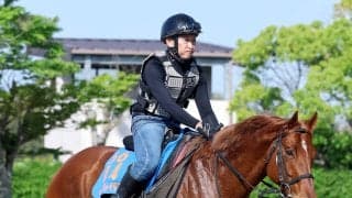 【アイビスＳＤ】９歳の古豪ウイングレイテストは使った上積みで巻き返しへ　畠山調教師が期待「今回の方がいい」