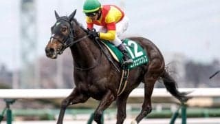 【クイーンS展望】実績馬エリカエクスプレスが久々の重賞制覇へ