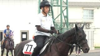 【ＰＯＧ】先週末の函館にドウデュース弟が入厩　その名はホシクズノダイヤ　陣営「緩いところはあるが、背中はいいみたい」