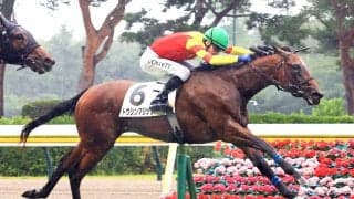 【注目馬動向】デビュー戦で“大物食い”を果たしたトウシンマジックは新潟２歳Ｓへ