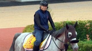 【クイーンＳ】コガネノソラは当レース２年ぶりの勝利へ視界良好　陣営「小回りも合うと思います」