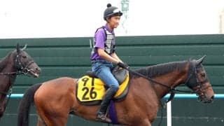【クイーンＳ】２億円馬の良血フレミングフープは攻めの仕上げで大駆け狙う　陣営「滞在はいいのかもしれません」