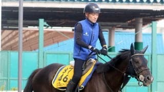 【クイーンＳ】前走は大きな不利...ケリフレッドアスクは強いメンタルが魅力　陣営は「本当にタフな子」と自信