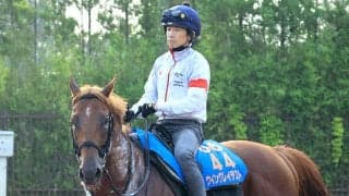 【アイビスＳＤ】古豪の９歳馬ウイングレイテスト“三度目の正直”へ虎視たんたん　畠山調教師「夏に弱くはない」