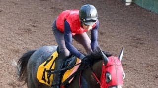 【アイビスＳＤ】芝、重賞、新潟と初物尽くしの挑戦でも今なら　ベルギューンに陣営「気持ちの強いところが出てきた」と自信