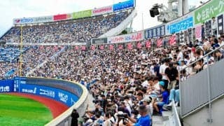 激闘の神奈川大会　横浜が盤石の連覇　172チームの熱戦を振り返る