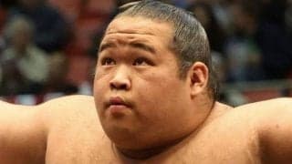 生田目が再十両　７場所ぶりに関取返り咲き　新十両は丹治と時不動
