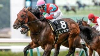 【CBC賞想定】レイピア、ジェニファーなど16頭