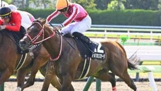 【アイビスSD】マル外初の戴冠なるか アメリカンステージなど外国産馬3頭が参戦