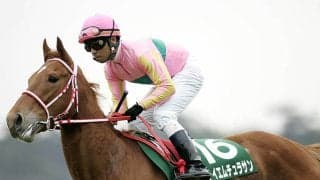 鹿児島生まれテイエムチュラサンが新潟で躍動 05年アイビスSDを振り返る
