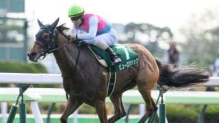 【アイビスSD出走馬・騎手確定】ピューロマジック＆田辺裕信騎手、アメリカンステージ＆戸崎圭太騎手など17頭