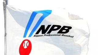 前半戦の入場者数はセが前年比0・2％減、パは3・8％増　セはヤクルト、阪神、中日が増