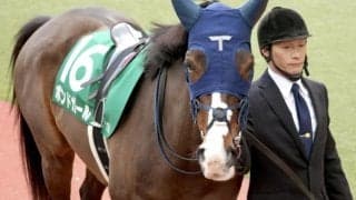 【クイーンS】「1勝馬の賞金王」ボンドガール 今度こそ重賞初制覇なるか