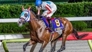 半兄はナチュラルライズ 3歳のアトラップモアが待ちに待ったデビュー戦だ