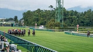 快足メジロダーリングが初代チャンピオン 01年アイビスSDをプレイバック