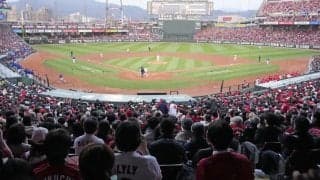 【広島好き】カープ、前半戦の個人成績を振り返る