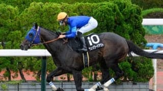 【エルムS想定馬・騎手】ウェイワードアクト、ナチュラルライズなど12頭