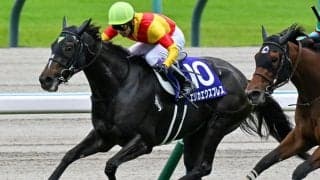 今週の武豊騎手は10鞍 エリカエクスプレスでクイーンSの16年ぶり2勝目なるか
