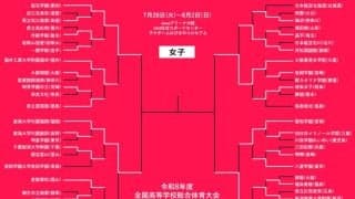【7月31日のインハイ女子結果】ベスト4が決定…桜花学園が逆転勝利、京都精華や大阪薫英も4強入り