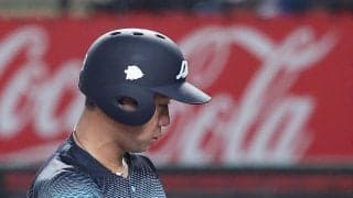 【西武】９回２死で打席の平沢大河に「招かれざる客」が　過去にはロッテ角中が「除去」する場面も