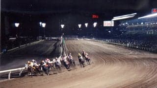 日本初のナイター競馬「トゥインクルレース」が40周年…記念MV公開、限定グッズ販売など記念企画を実施