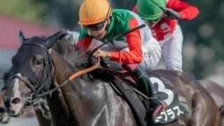 STV賞は波乱傾向の一戦 ステイゴールド系に注目だ
