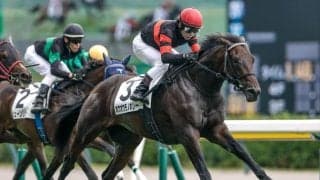 【新潟2R新馬戦結果】キズナ産駒の2億円馬ホウオウモノポリーが断然人気に応えてV