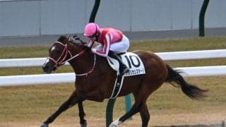 【アイビスSD予想】暑さの影響を受けやすい大型馬は割引!? 相手関係や戦歴からも割り引いて考えたい人気の一角とは