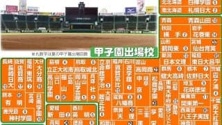 【甲子園】代表49校から中から「特A」付けなかった理由　熊本地震で被災した有明にも注目／展望