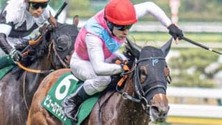 “千直”の重賞アイビスSD 外枠＆牝馬が優勢だ