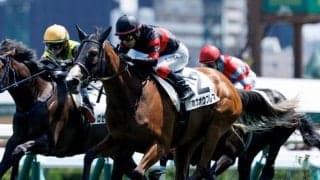 【札幌5R新馬戦結果】キタサンブラック産駒ホウオウプレマが差し切り勝ち