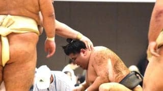 旭富士が関取衆の申し合い稽古に参加、黒まわしで白まわしの幕内力士らと14番で存在感