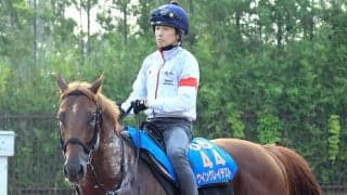 【アイビスＳＤ】最内枠＆９歳馬ウイングレイテストは３年連続挑戦も７着　松岡正海騎手「内枠のわりには…」負のデータ覆せず　