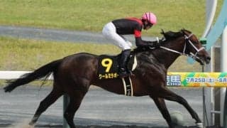 【名鉄杯結果】クールミラボーが3馬身半差で快勝