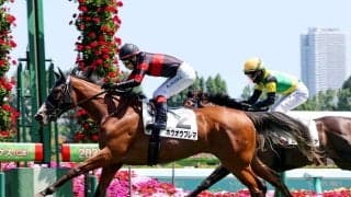 札幌新馬戦Ⅴで早くもオークス候補の反応「切れ味えっぐい」「さすがに届かないと…」ホウオウプレマにネット驚き