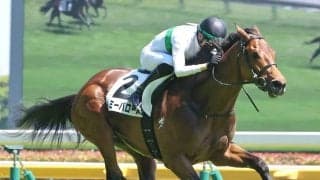 驚異の末脚で差し切った３歳馬に衝撃走る「鳥肌立った」「噂には聞いてた」　中京６Ｒで３勝目を挙げたトミーバローズ