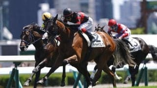 【新馬/札幌5R】キタサンブラック産駒 ホウオウプレマが人気に応える