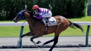 【札幌3R】ワンダーブリッツが9馬身差圧勝…断然人気に応える