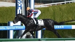 【レパードS見どころ】次第に競馬が巧みになってきたメルカントゥール