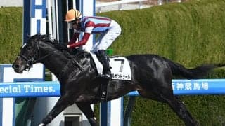 【レパードS想定騎手】メルカントゥールは坂井瑠星騎手、ドンエレクトスは荻野極騎手