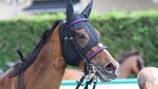 【CBC賞】永島まなみ騎手が2年ぶりの重賞2勝目へ ジェニファーで参戦だ