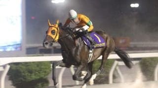 高知史上6頭目の三冠馬誕生！カツテナイオイシサが6連勝で黒潮菊花賞制覇